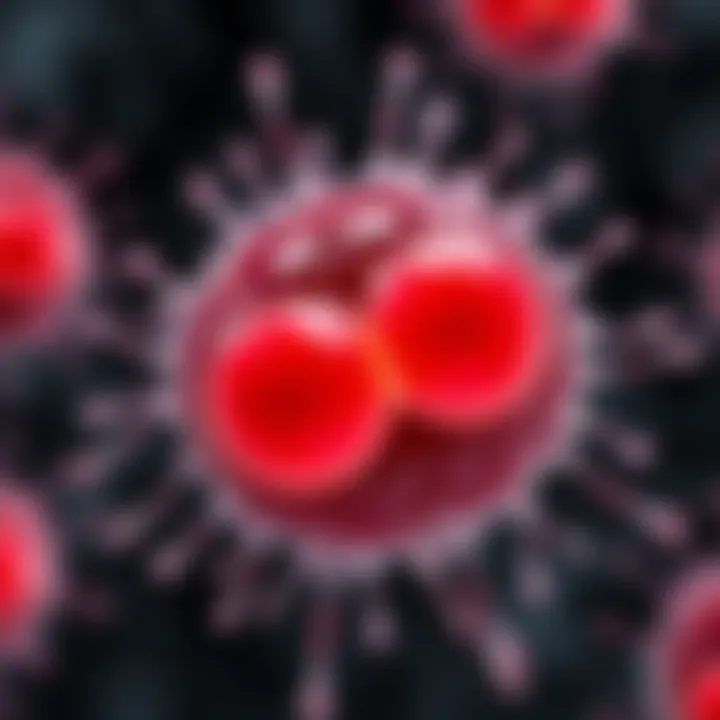 Microscopic view of protist cells undergoing binary fission highlighting cell duplication