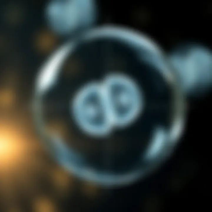 Diagram illustrating binary fission in a single-celled organism dividing into two identical cells