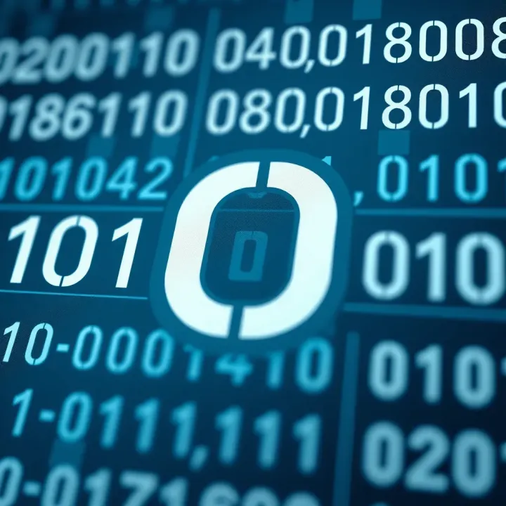 Diagram illustrating the binary number system with digits zero and one